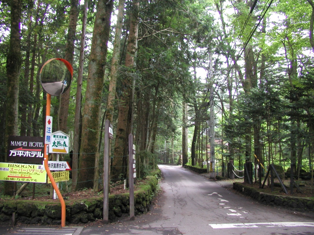 図７　ウラジロモミの高木が多く風格のある旧軽井沢のランドスケープ