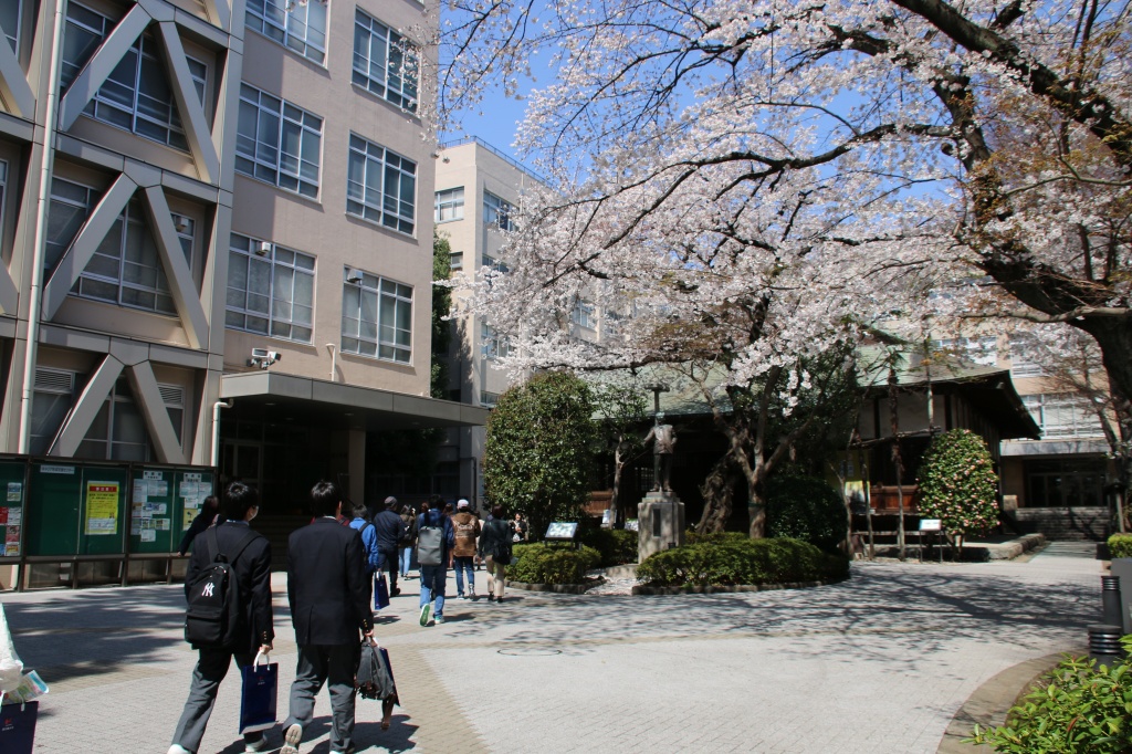 桜が咲き誇る大講堂前