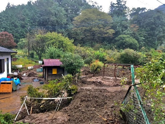 南浅川地域個人宅の被害。案内川氾濫により床上まで浸水し、屋内外40cm程度の泥が堆積