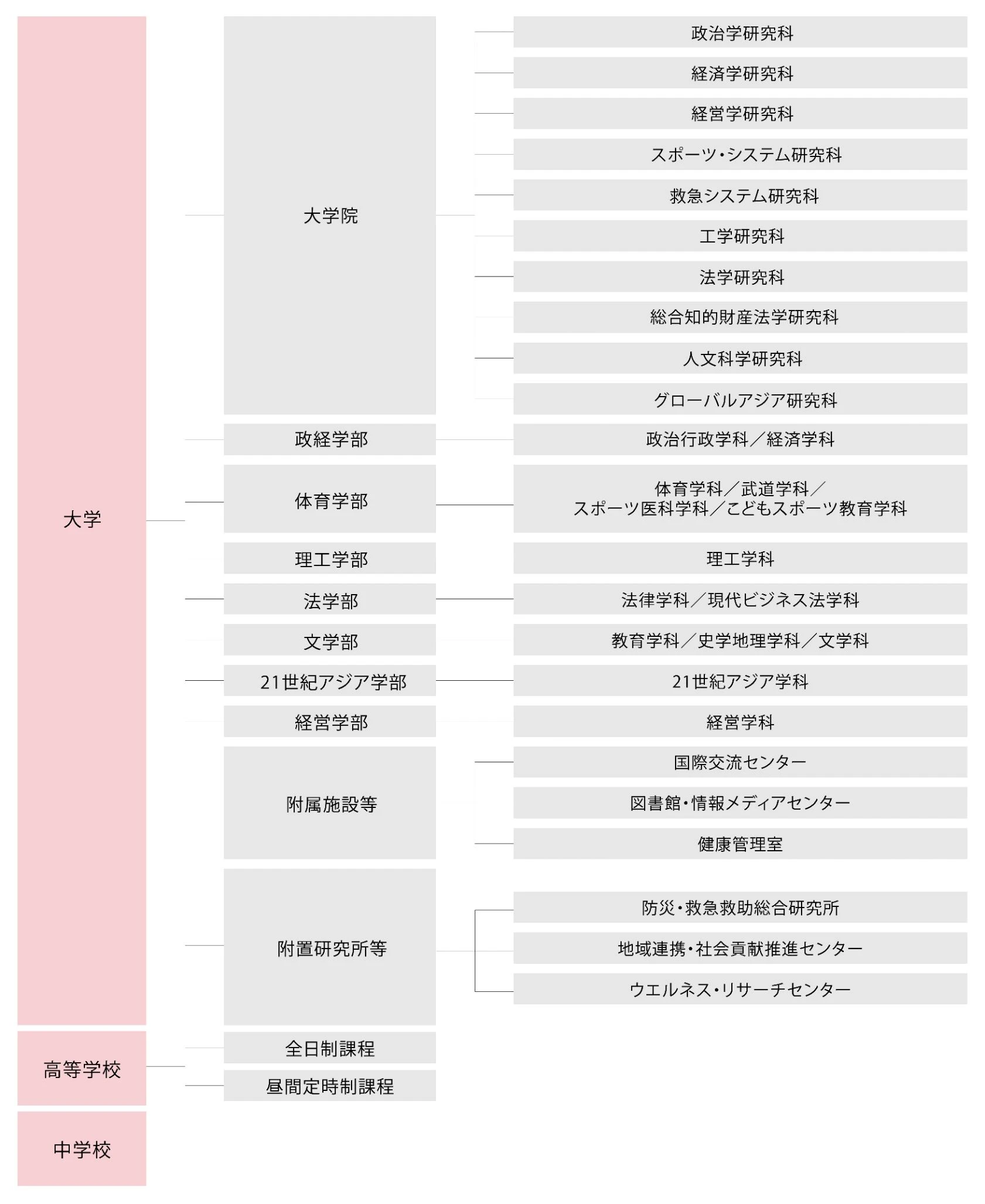 教育研究組織図