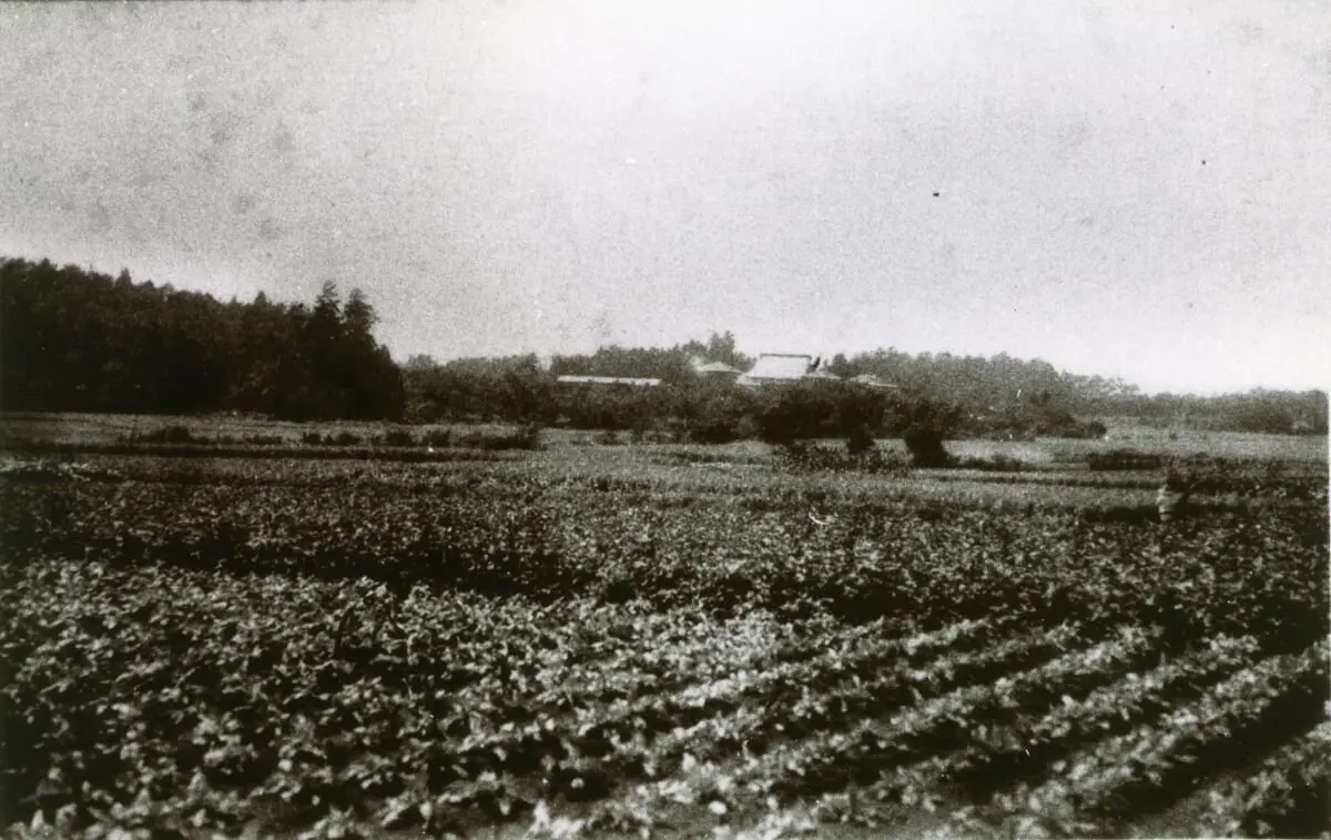 梅丘地区側から望む国士舘（1919年、国士舘史資料室蔵））