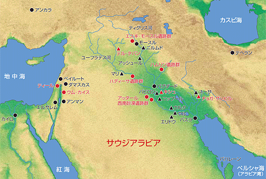 調査活動報告