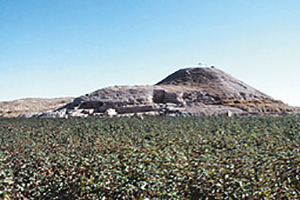 発掘終了後のテル・タバン遺跡