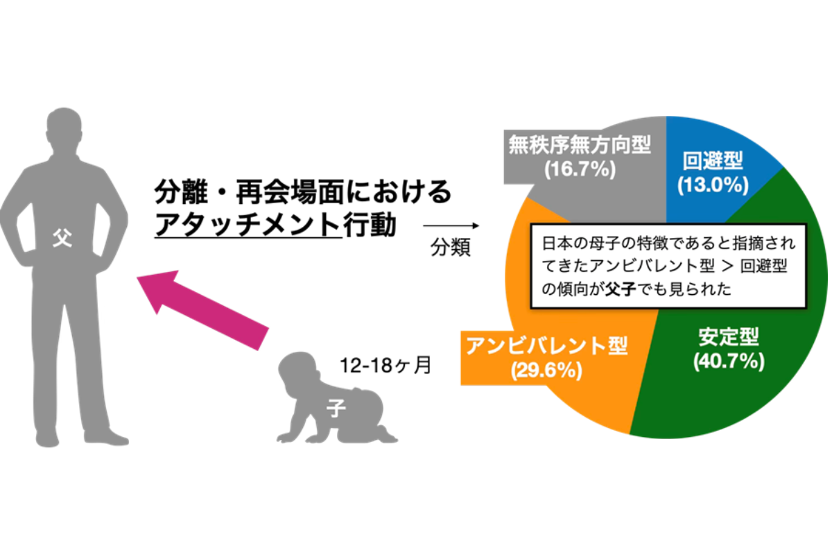 図1:本研究の概念図とアタッチメントタイプの割合