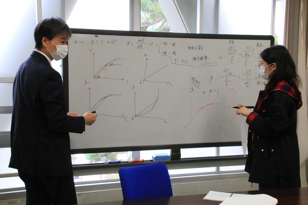 マクロ経済学研究、数理経済学研究