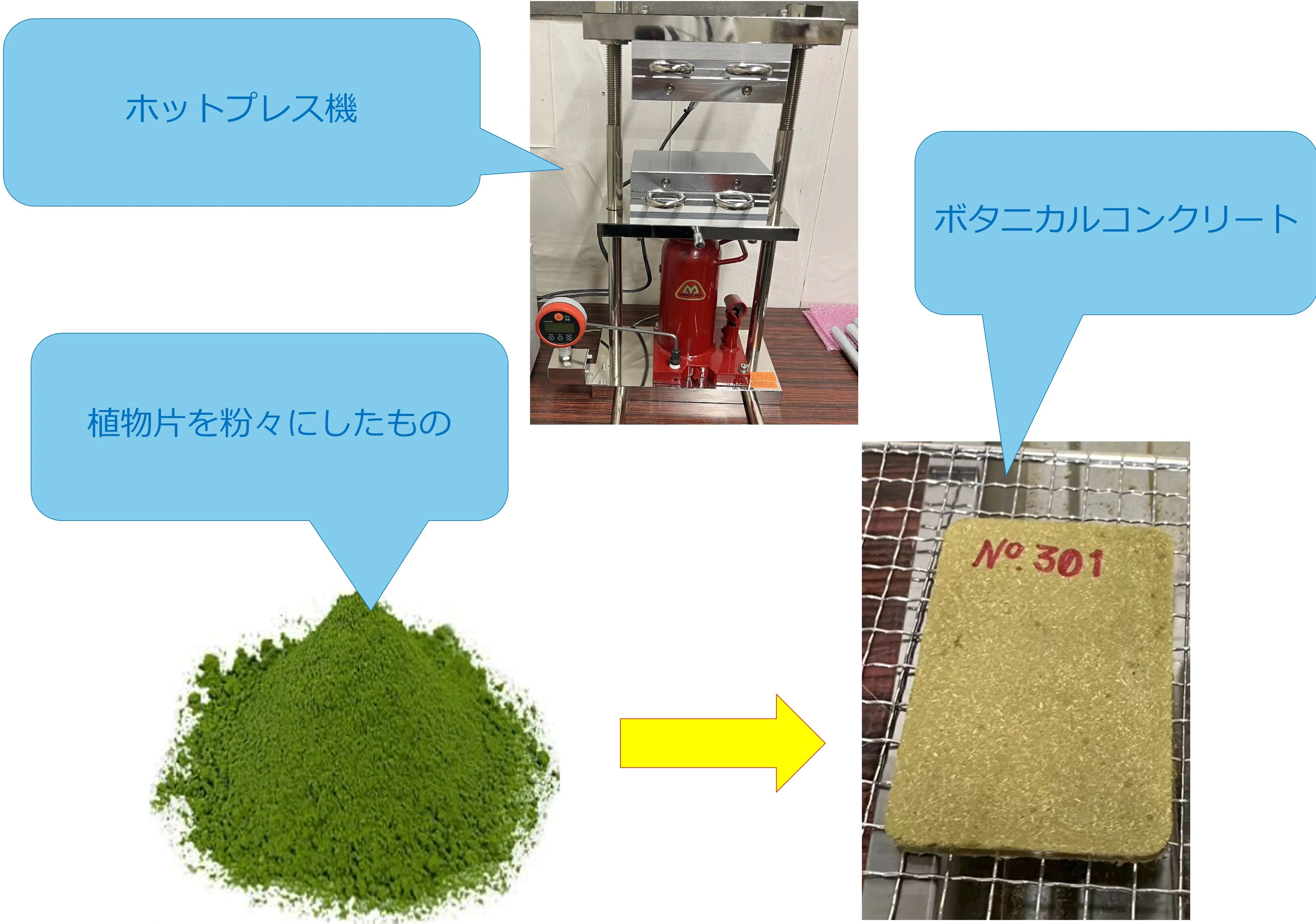 ボタニカルコンクリート