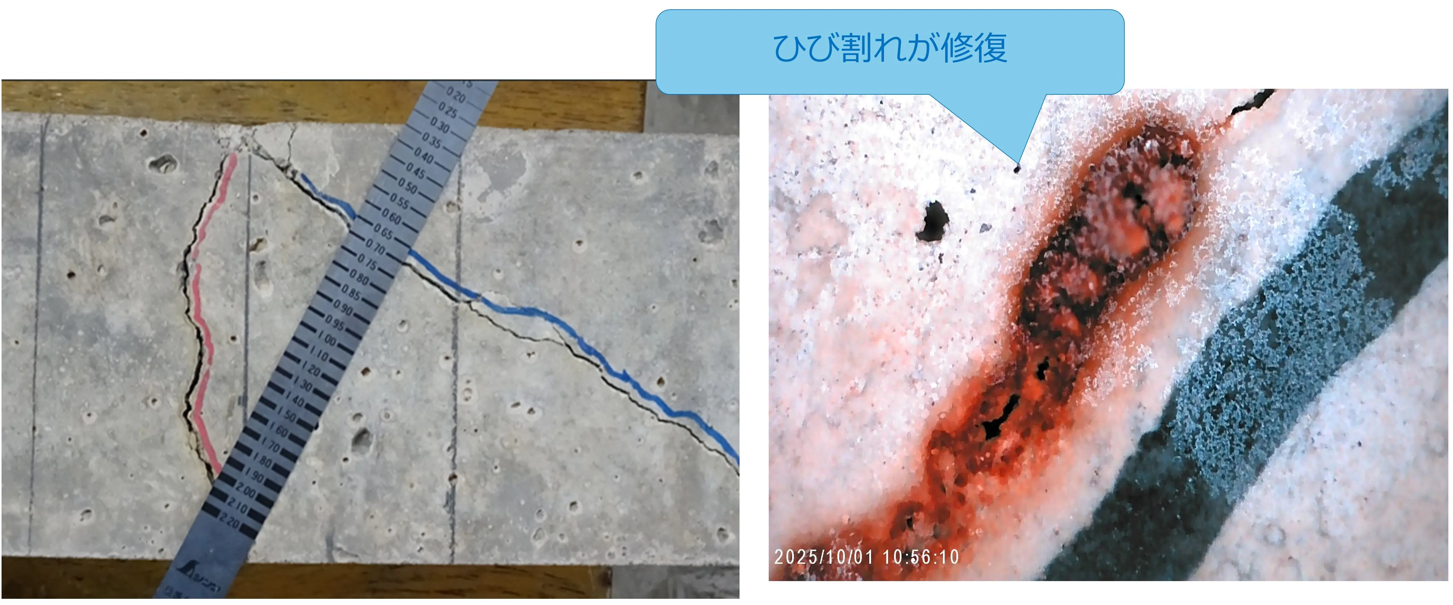自己治癒コンクリート